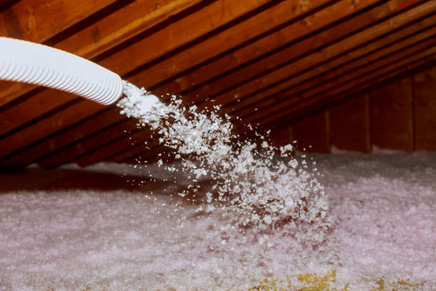 Best Insulation Maintenance and Repair in Fishers, IN